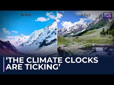 'We're Dangerously Close to 1.5°C': UN India Head Explains ...