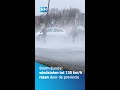 Storm Eunice raast door Noord-Holland: bomen vallen, auto heeft geluk #Shorts