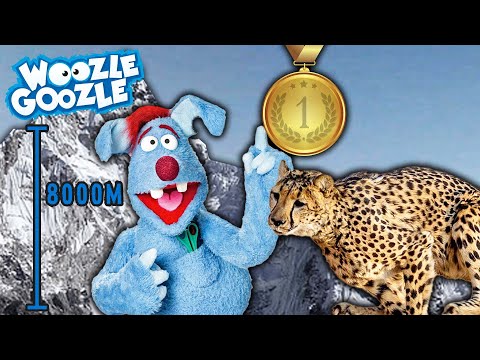 Best of Rekorde & Höchstleistungen l WOOZLE GOOZLE
