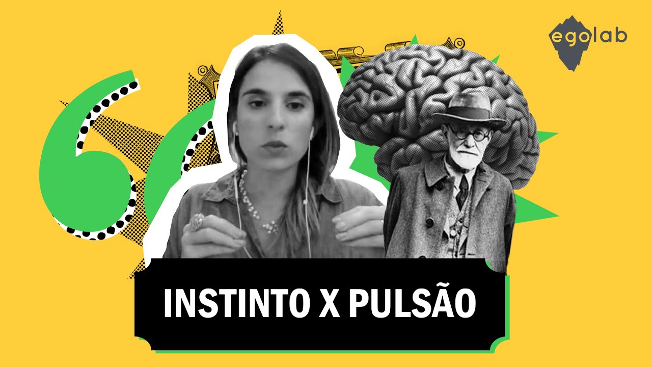 Instinto x Pulsão