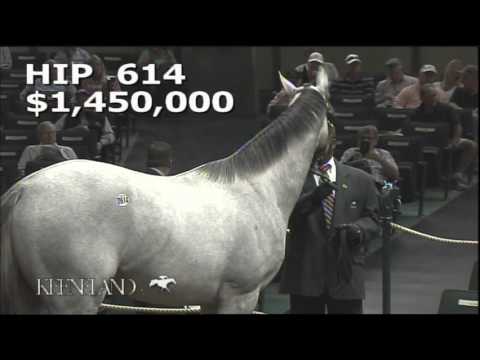 2015 September Yearling Sale - Hip 614 (Tapit - Silver Colors)