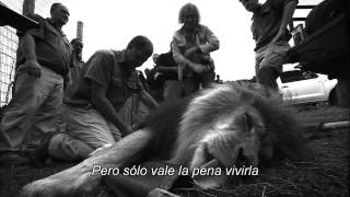 Born Free (Subtitulada) - Brian May & Kerry Ellis