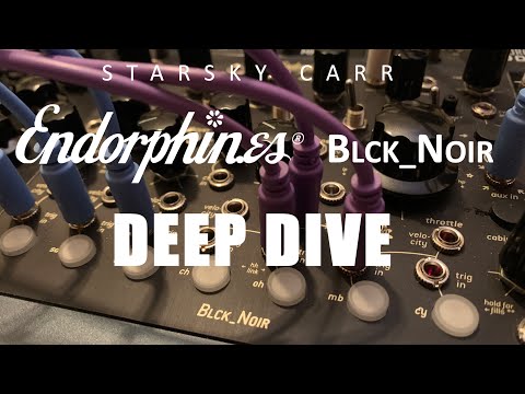 Endorphin.es Blck_Noir Eurorack Synth Module 2018 - Present - Silver image 5