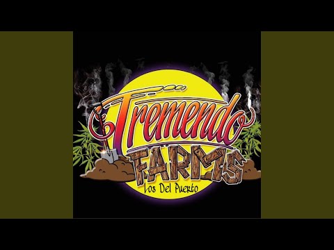 download lagu mp3 mp4 Tremendo, download lagu Tremendo gratis, unduh video klip Tremendo