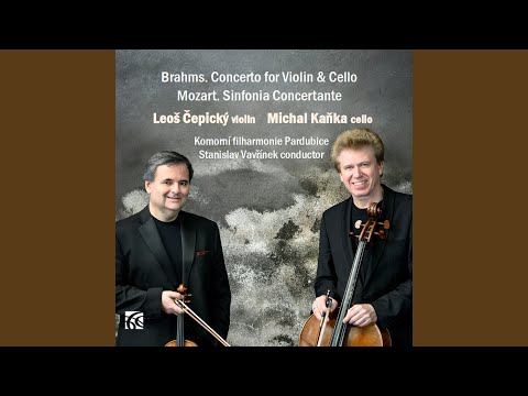 Concerto for Violin and Cello, Op. 102 in A Minor: II. Andante