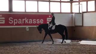 Video of Firestorm