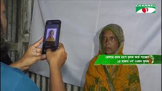 ভোলায় প্রথম ধাপে ১৪,৭৭৭ জন কৃষক কৃষি কার্ড পাচ্ছেন (চ্যানেল আই নিউজ)