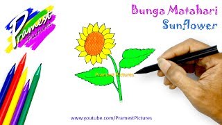 Bunga Matahari | Cara Menggambar Dan Mewarnai Gambar Untuk Anak-anak