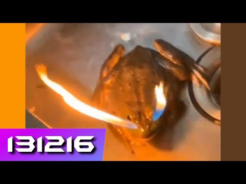 Random video for you! #4