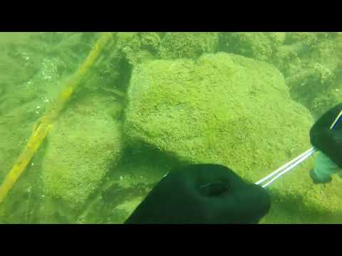 Lancio,  con parziale recupero, di un cazzillo ( SMB ... ) old style.