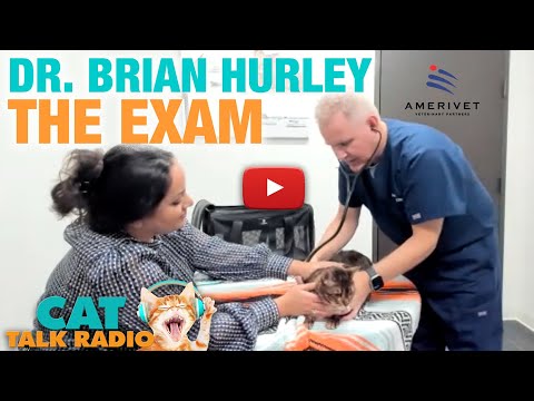 Cat Talk Radio - Dr. Brian Hurley on Vet Exams