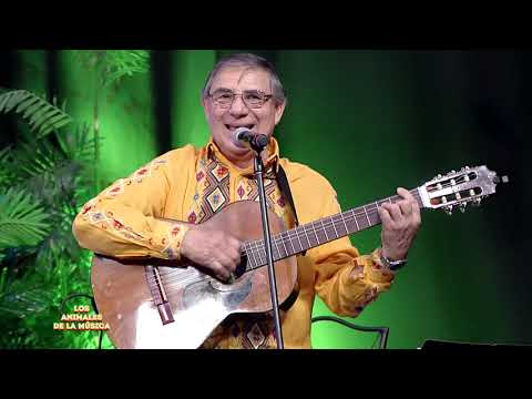 28 Pyhare amangype - Los Animales de la Música.