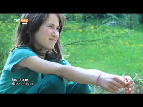 Šuge
