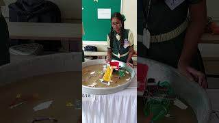 RIVER CLEANING MACHINE #scienceandfun #basicscience #diy #scienceexhibition @bescientific