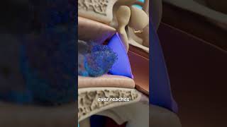 How Does An Earwax Cleaner Headset Work 🤔