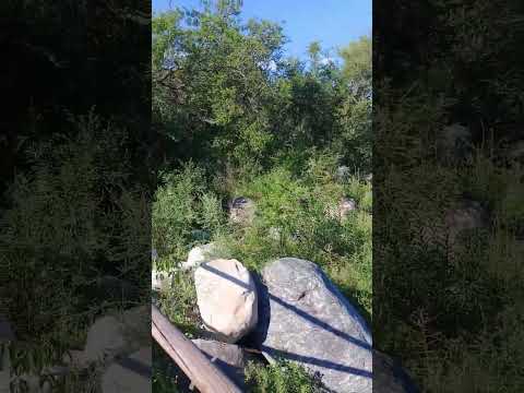 ARROYO LOS MOLLES, EN VILLA DE LAS ROSAS,TRASLASIERRA, CORDOBA