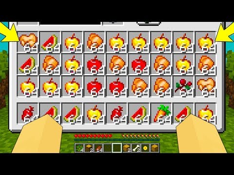 COSTRUISCO LA FARM DI CIBO INFINITA nella VANILLA!! - Minecraft ITA