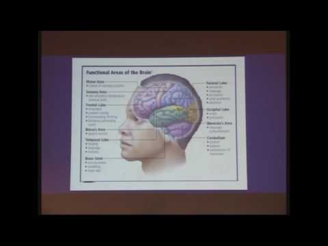 PUBLIC LECTURE ON MULTIPLE SCLEROSIS ( 27/05/2015 )