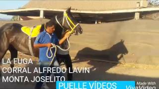 La fuga vs la aventurera vs el aleman