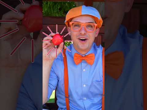 Blippi's Backyard Sink Or Float CHALLENGE! 🍇 Learn About Healthy Food With Blippi #shorts #fruit