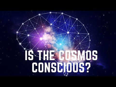 The Universe and the Brain: Exploring the Fascinating Similarities