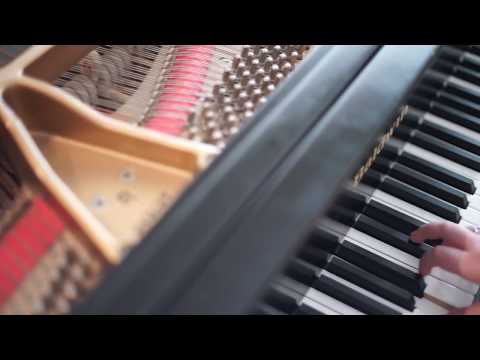 All Belong Here - The Many - Live