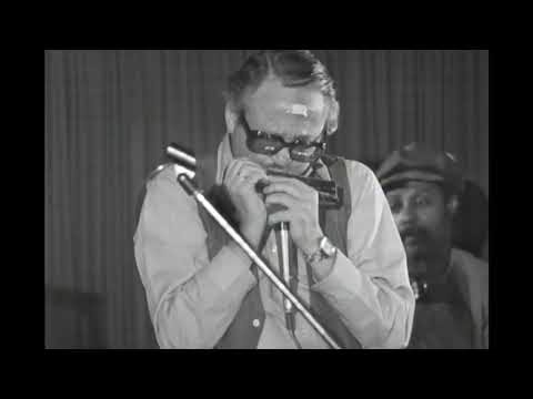 The Midnight Cowboy Theme (John Barry) - Toots Thielmans 1978