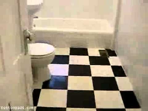 Boston Apartments - Braintree Apartment - Charming unit for rent!