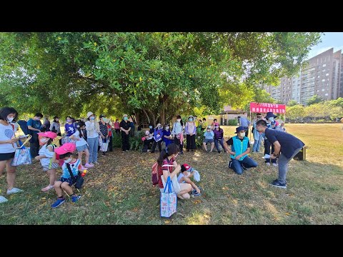 新竹縣致力復育槲櫟 盼保存更有力