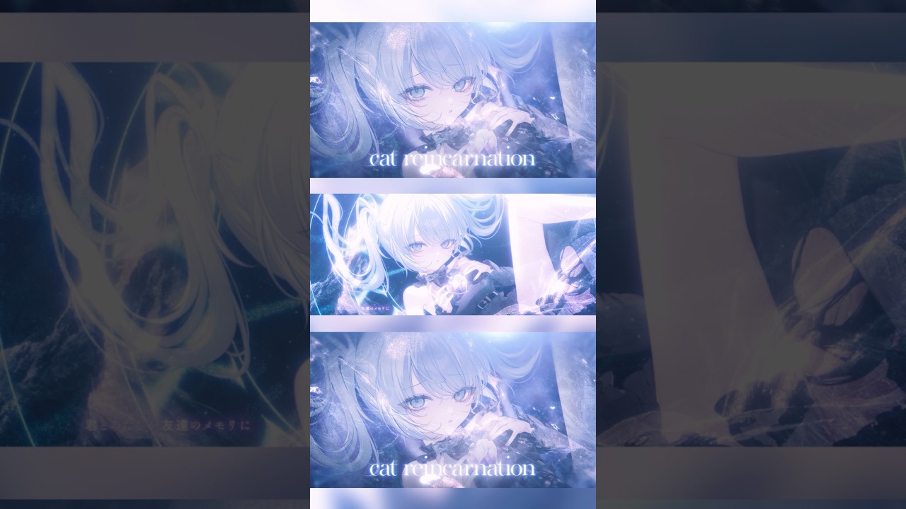 ⟡ 50万再生ありがとう〜！ずっと大切な曲です。 #nyamura #catreincarnation #original #mv