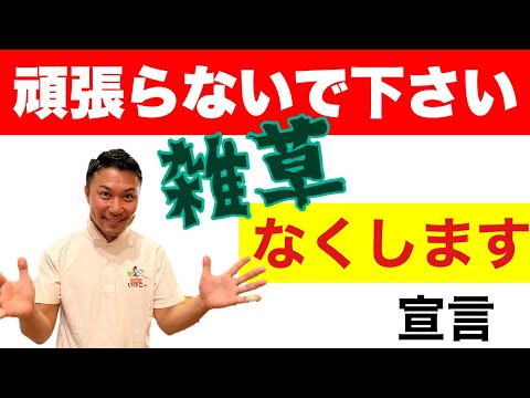 雑草を取り除く段ボールのリサイクルには多くの利点があります