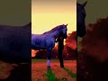 He Has The Most Special Bond With His Horses Horse Equine Equestrian Bond Fypシ
