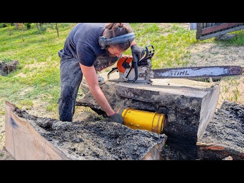 💰 Found a TREASURE in an old log!