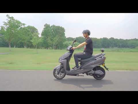 Elektroroller Falcon 45 km/h E-Roller E-Scooter, Roller mehr als  300 Servicepartner