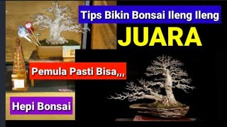Download lagu Prune Roots Change Planting Media for Bonsai Ileng Ileng / phylantus reticulatus Champion mp3 Download lagu Prune Roots Change Planting Media for Bonsai Ileng Ileng / phylantus reticulatus Champion mp3