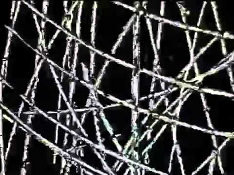 THE REVOLUTION OF SUPER 8 UNIVERSE: A SELF-PORTRAIT BY REY PARLA