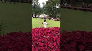 Download lagu MAIN KE GOLAGA, WISATA HITS DI PURBALINGGA #golaga #goalawa #wisatapurbalingga #wisataalam mp3