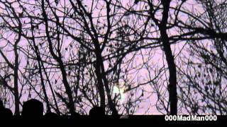 Sade - 14. Morning Bird - Full Paris Live Concert HD at Bercy (17 May 2011)