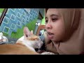 EMUT BAE COVER YUNI ROM
