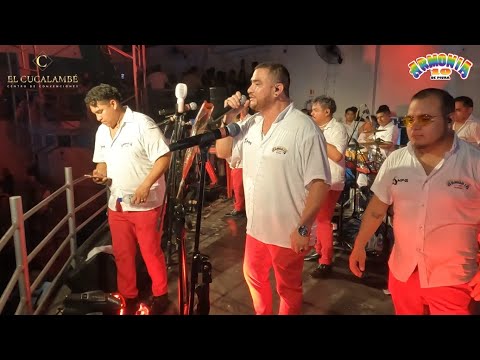 Parranda 12 ❌ Armonia 10 🎵 C.C Cucalambe Ate 🎼 14 Febrero 2025