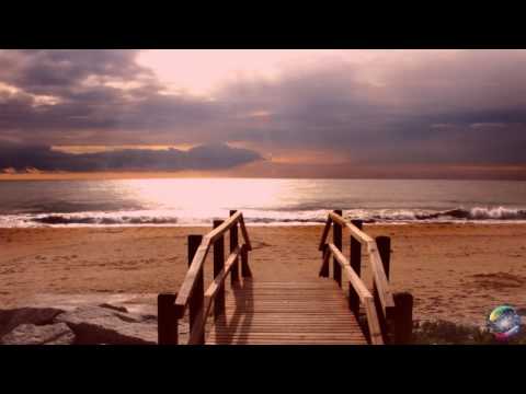 Marie Rottrová & Petr Němec - STOPY