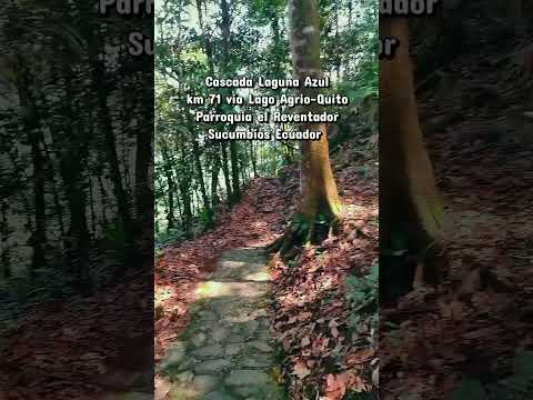 Plan de fin de semana en Gonzalo Pizarro 💚