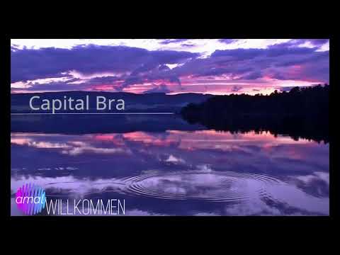 Capital Bra & KC Rebell - Andere Welt ft. Clueso (Lyrics) (PROD. BY BEATZARRE & DJORKAEFF)