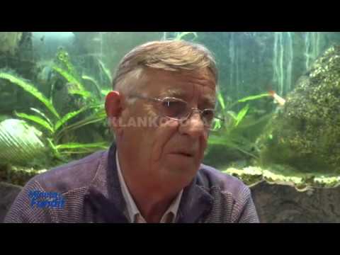 Triumfi historik i Prishtinës ndaj Crvena Zvezda - 06.12.2016 - Klan Kosova