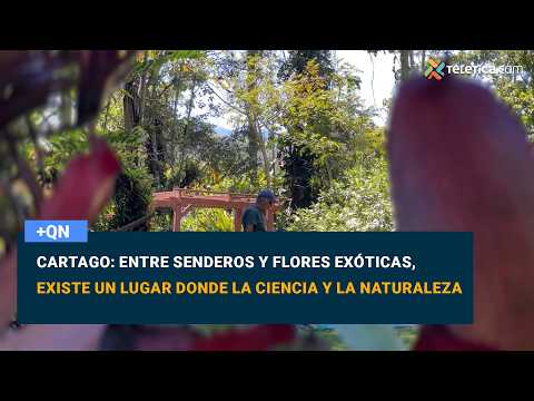 mqn-Cartago: Entre senderos y flores exóticas, existe un lugar donde la ciencia y la naturaleza