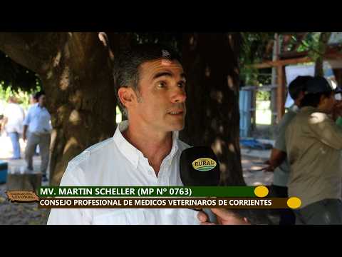 RIQUEZAS DEL LITORAL PROGRAMA 557 PRIMERA JORNADA DE PRODUCCION BUBALINA CAA CATI MARZO 2026