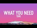 Tems - What You Need (Lyrics)
