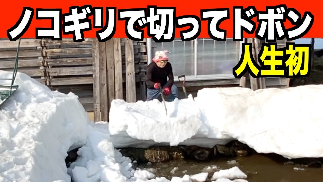 【ドボン】ノコギリで雪を切る！人生初挑戦！いけるなこれ！2026-03-28（土）武七の除雪・雪かき日記　dobon snowremoval snowplow ASMR