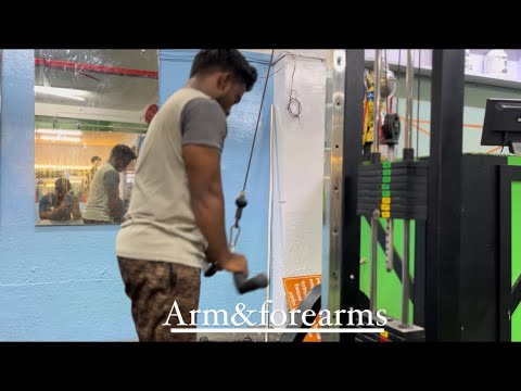 Winter Bulk day 17 - Arms&Forearms