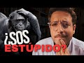SOS ESTÚPIDO Qué Dice La Ciencia Sobre TUS Decisiones IDIOTAS